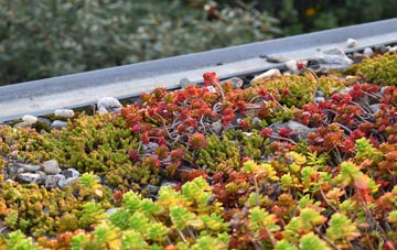 the cost of Marks Gate green roof installation