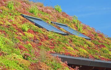 Marks Gate living roof systems