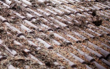 Marks Gate roof cleaning companies